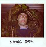 livingbush.jpg