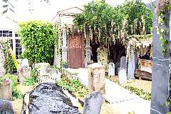 dcp_0243.jpg