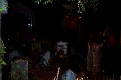 dcp_0979.jpg
