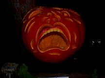 pumpkins.jpg